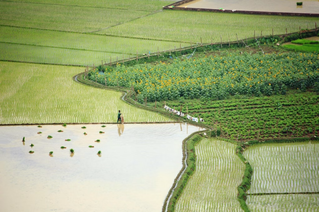 Agrobotics